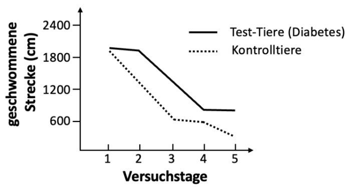 Diagramm zur geschwommenen Strecke von Test-Tieren mit Diabetes und Kontrolltieren über fünf Versuchstage.